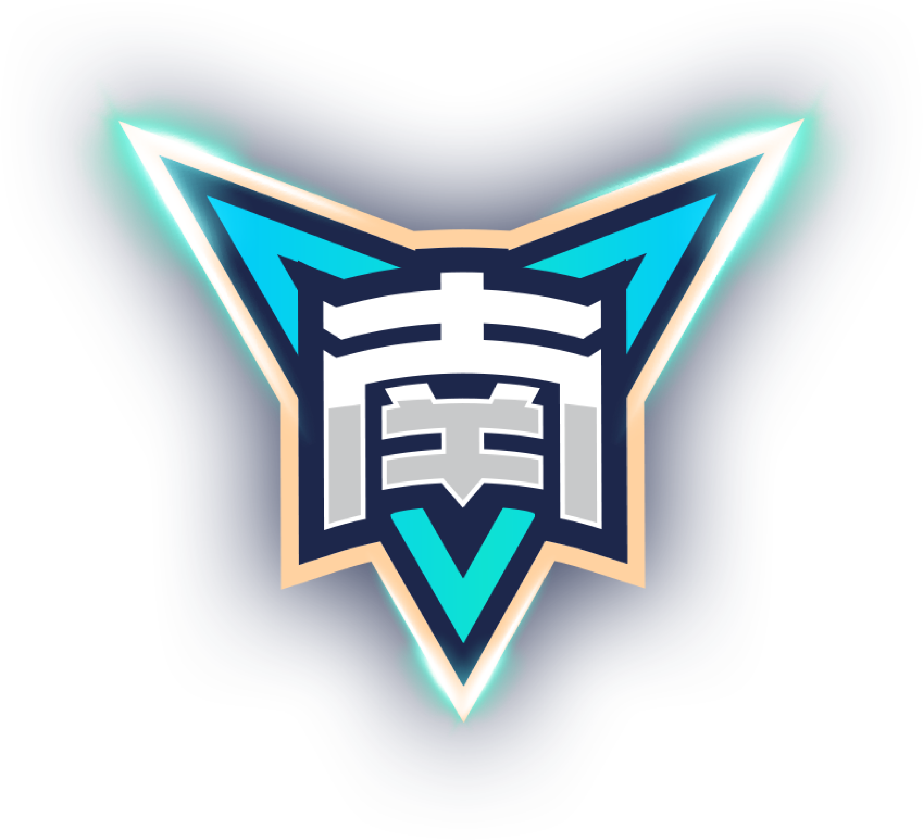 阿里斯